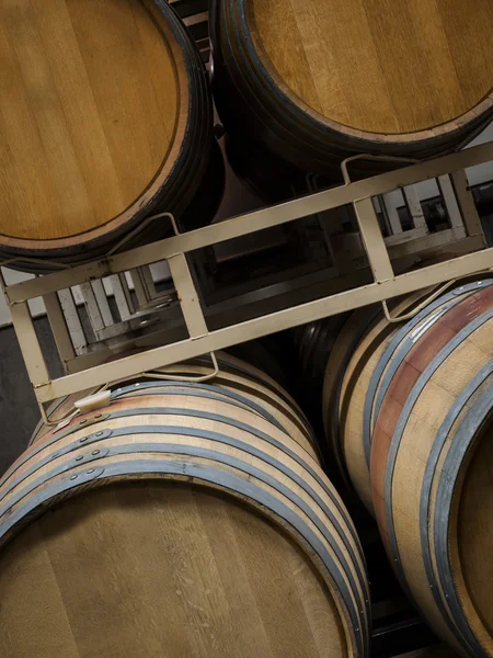 Wine Barrels — Stock Photo, Image