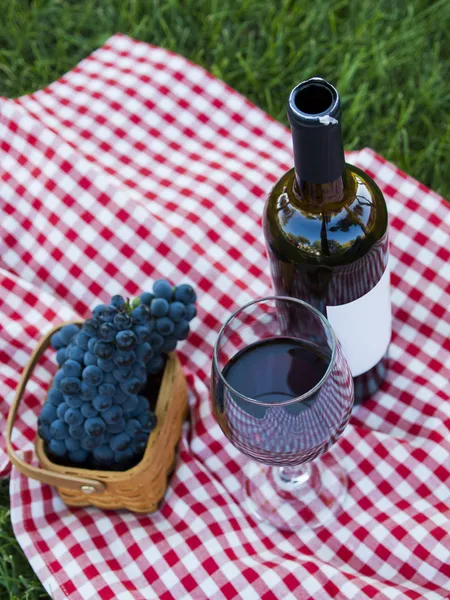 Picnic — Stock Photo, Image