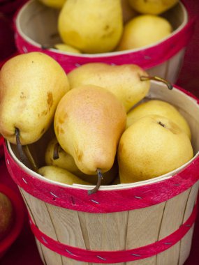 Pears clipart