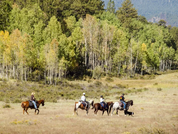 Cabalgatas a caballo —  Fotos de Stock