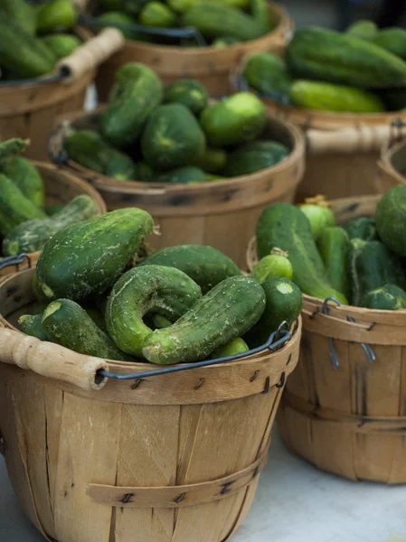 Pickles. — Fotografia de Stock