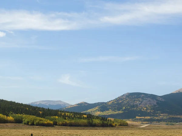 Autumn — Stock Photo, Image