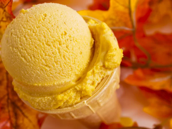 Pumpkin Gelato — Stock Photo, Image