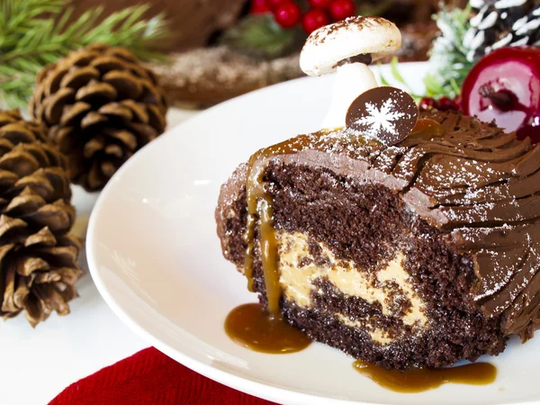 Yule Log Cake — Stock Photo, Image