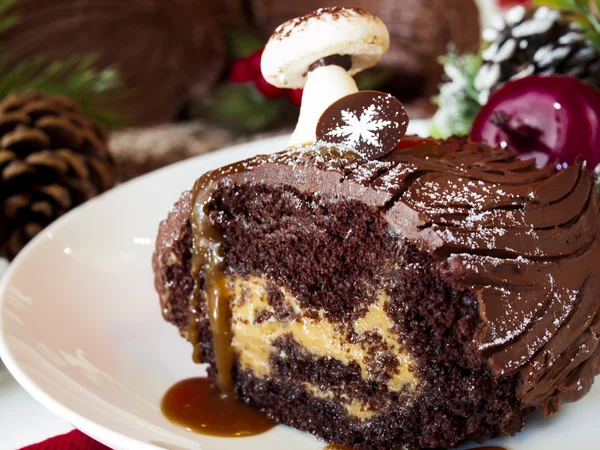 Yule Log Cake — Stock Photo, Image