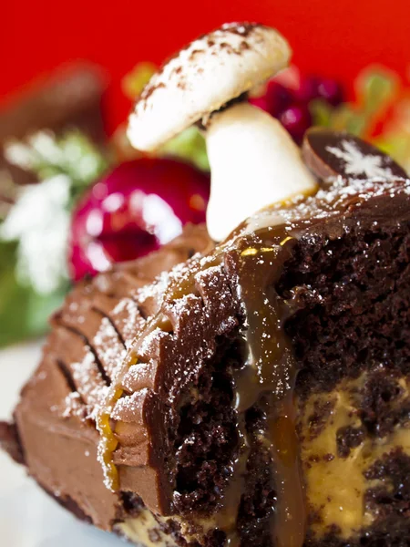 Yule Log Cake — Stock Photo, Image