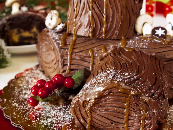 Yule Log Cake — Stock Photo, Image