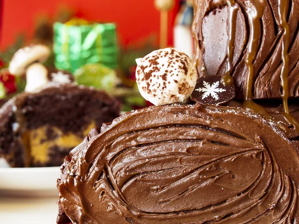 Yule Log Cake — Stock Photo, Image