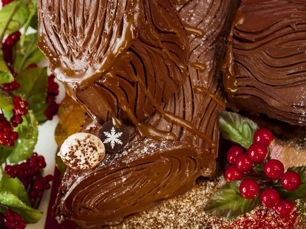 Yule Log Cake — Stock Photo, Image