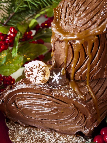 Yule Log Cake — Stock Photo, Image