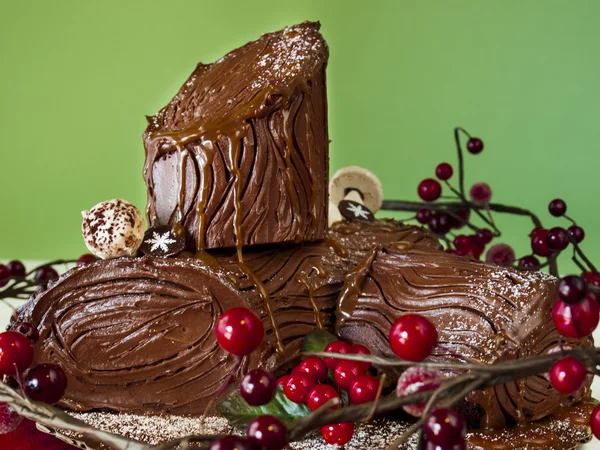 Yule Log Cake — Stock Photo, Image