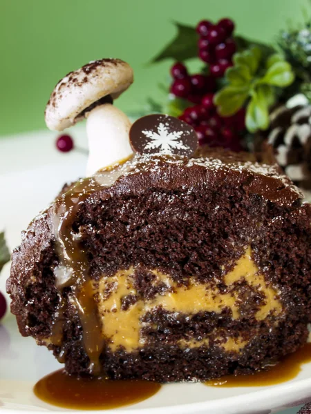 Yule Log Cake — Stock Photo, Image