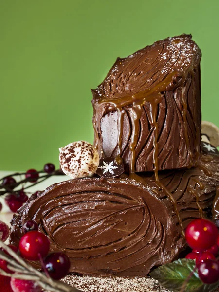 Yule Log Cake — Stock Photo, Image