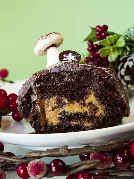 Yule Log Cake — Stock Photo, Image