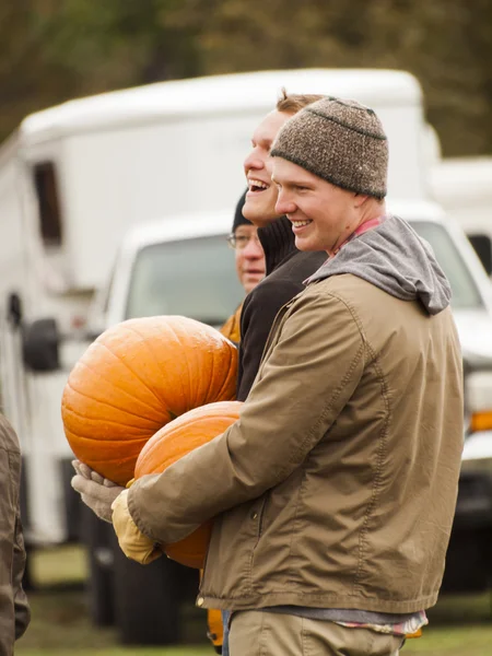 Patch di zucca — Foto Stock