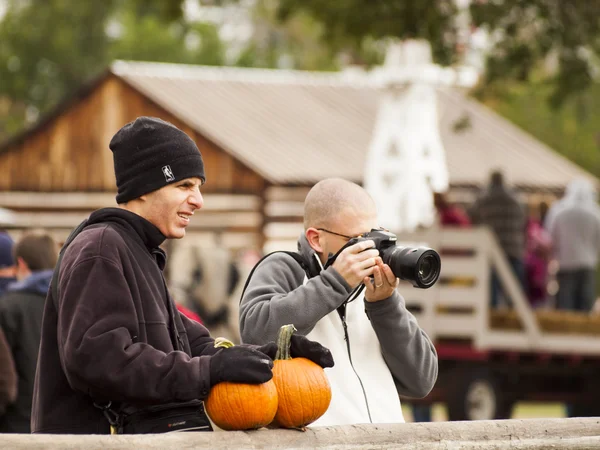 Patch di zucca — Foto Stock