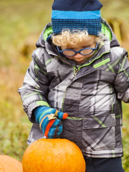 Parche de calabaza — Foto de Stock