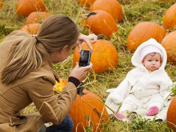 Pumpkin patch — Stock Photo, Image