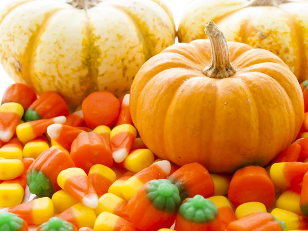 Mini Pumpkins — Stock Photo, Image