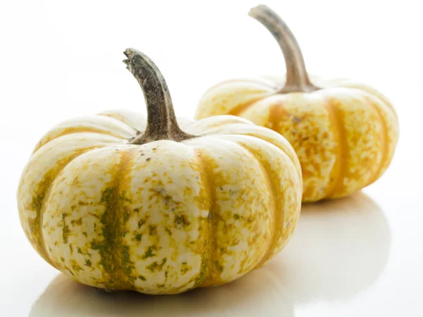 Mini calabazas — Foto de Stock