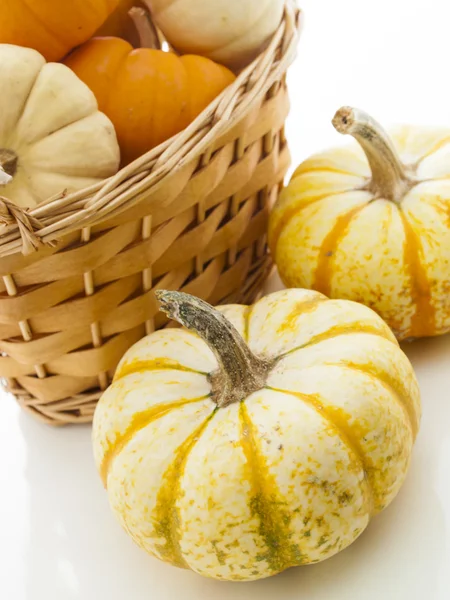 Mini Pumpkins — Stock Photo, Image