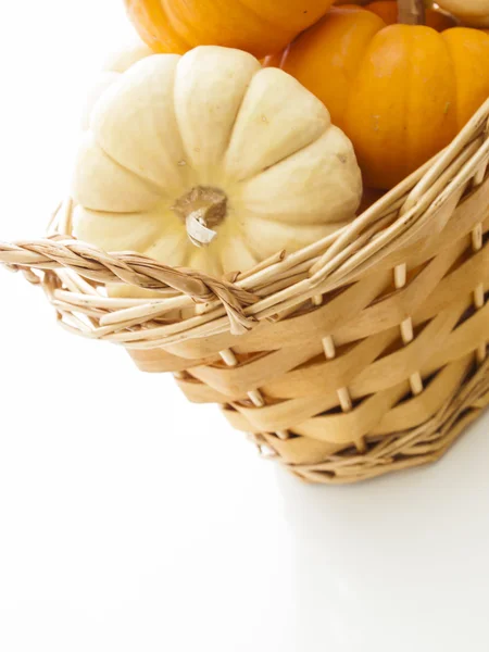 Mini Pumpkins — Stock Photo, Image