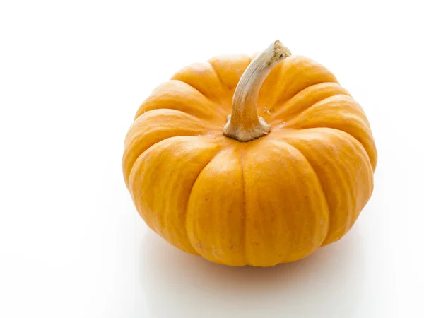 Mini Pumpkins — Stock Photo, Image