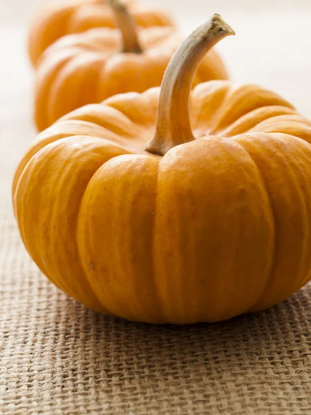 Mini Pumpkins — Stock Photo, Image