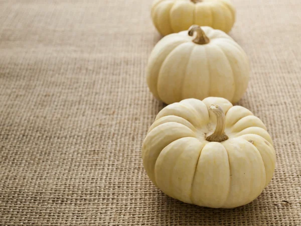 Mini Pumpkins — Stock Photo, Image