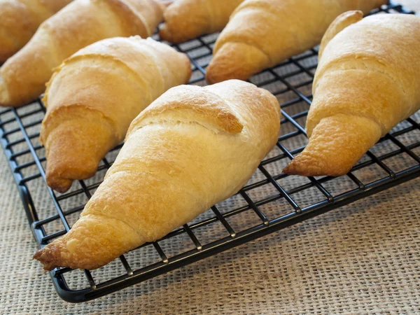 Croissants — Stock Photo, Image