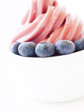 dondurulmuş yoğurt