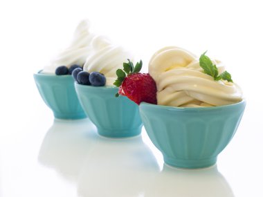 dondurulmuş yoğurt