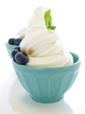 dondurulmuş yoğurt