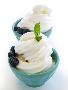 dondurulmuş yoğurt