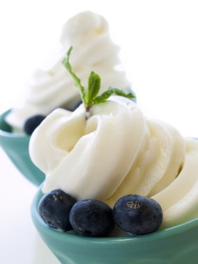 dondurulmuş yoğurt