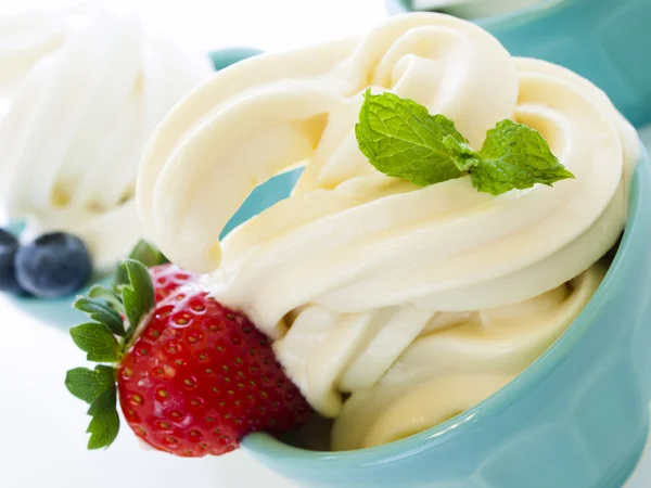 Yogurt congelato — Foto Stock