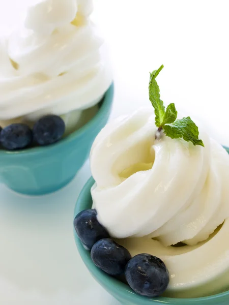 Yogurt congelato — Foto Stock