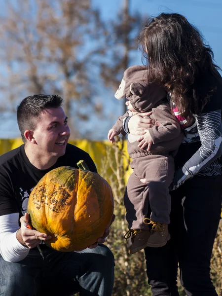 Pumpkin Partch — Fotografie, imagine de stoc