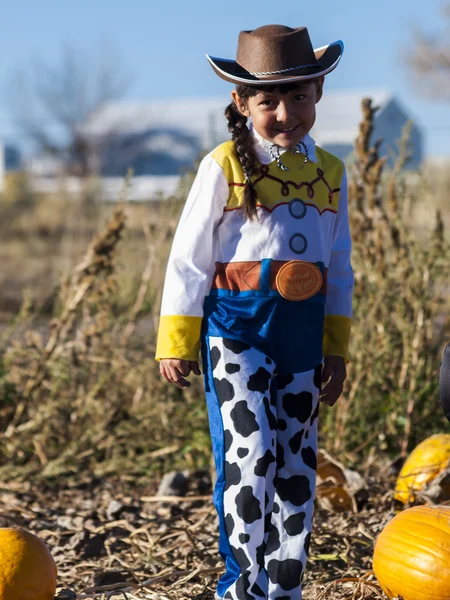 Dýňová partch — Stock fotografie