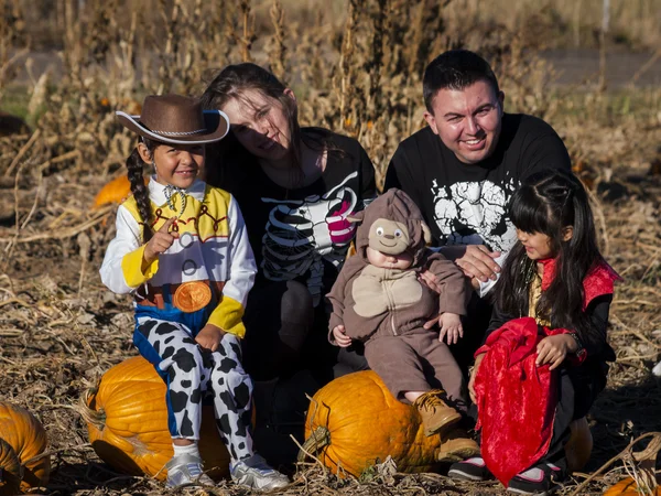 Pumpkin Partch — Stock Photo, Image