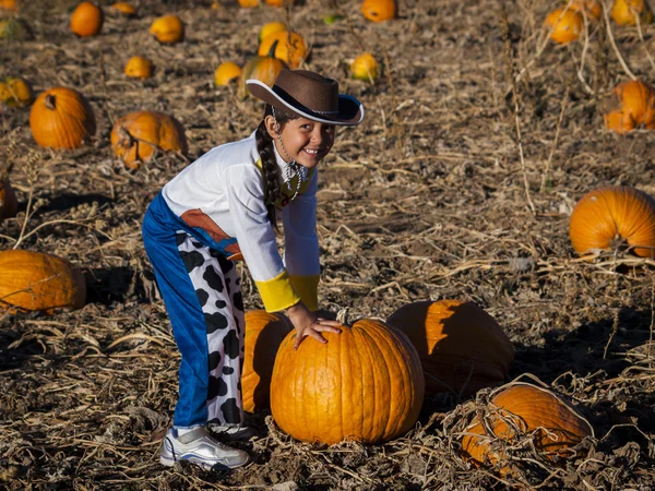 Pumpa partch — Stockfoto