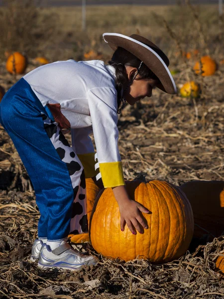 Pumpkin Partch — Stock Photo, Image