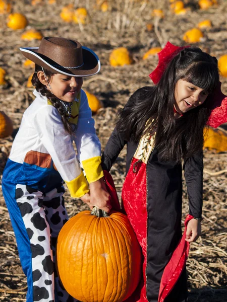 Pumpa partch — Stockfoto