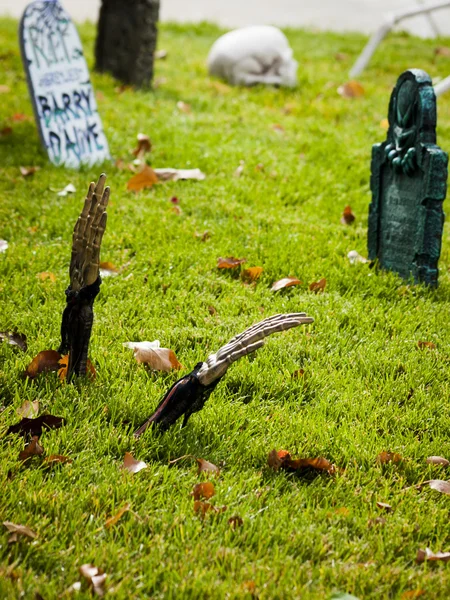 Halloween decorations — Stock Photo, Image