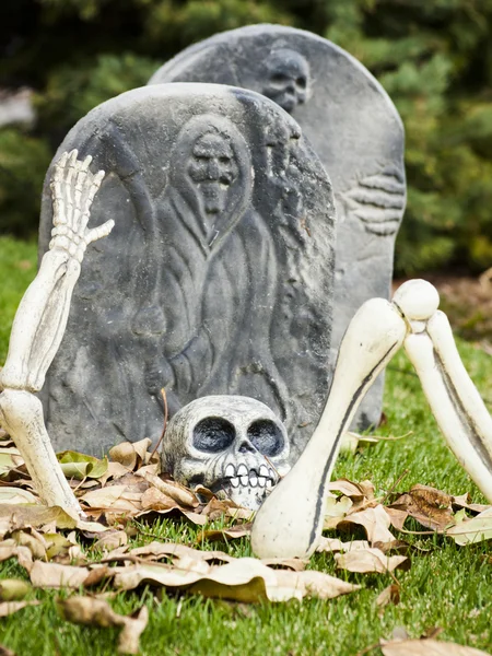 Halloween decorations — Stock Photo, Image