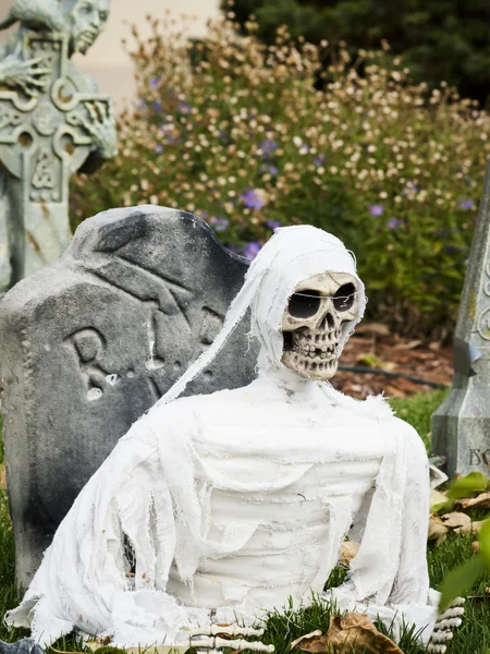 Halloween decorations — Stock Photo, Image