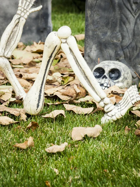 Halloween-Dekoration — Stockfoto