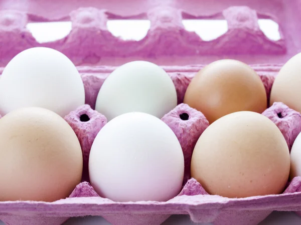 Farm eggs — Stock Photo, Image