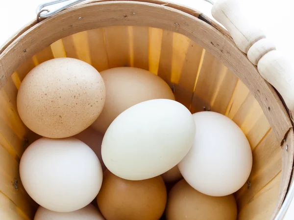 Eieren van de boerderij — Stockfoto
