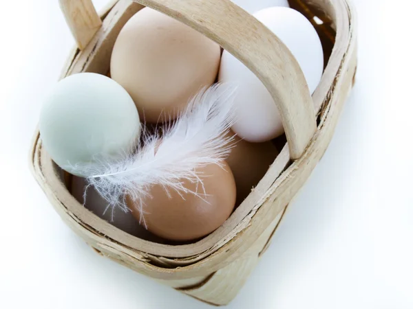 Farm eggs — Stock Photo, Image